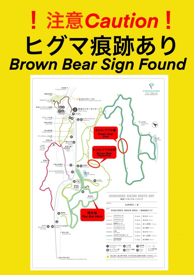 お知らせ】熊出沒関連情報（旭岳温泉街の自然探勝路） | ようこそ東川